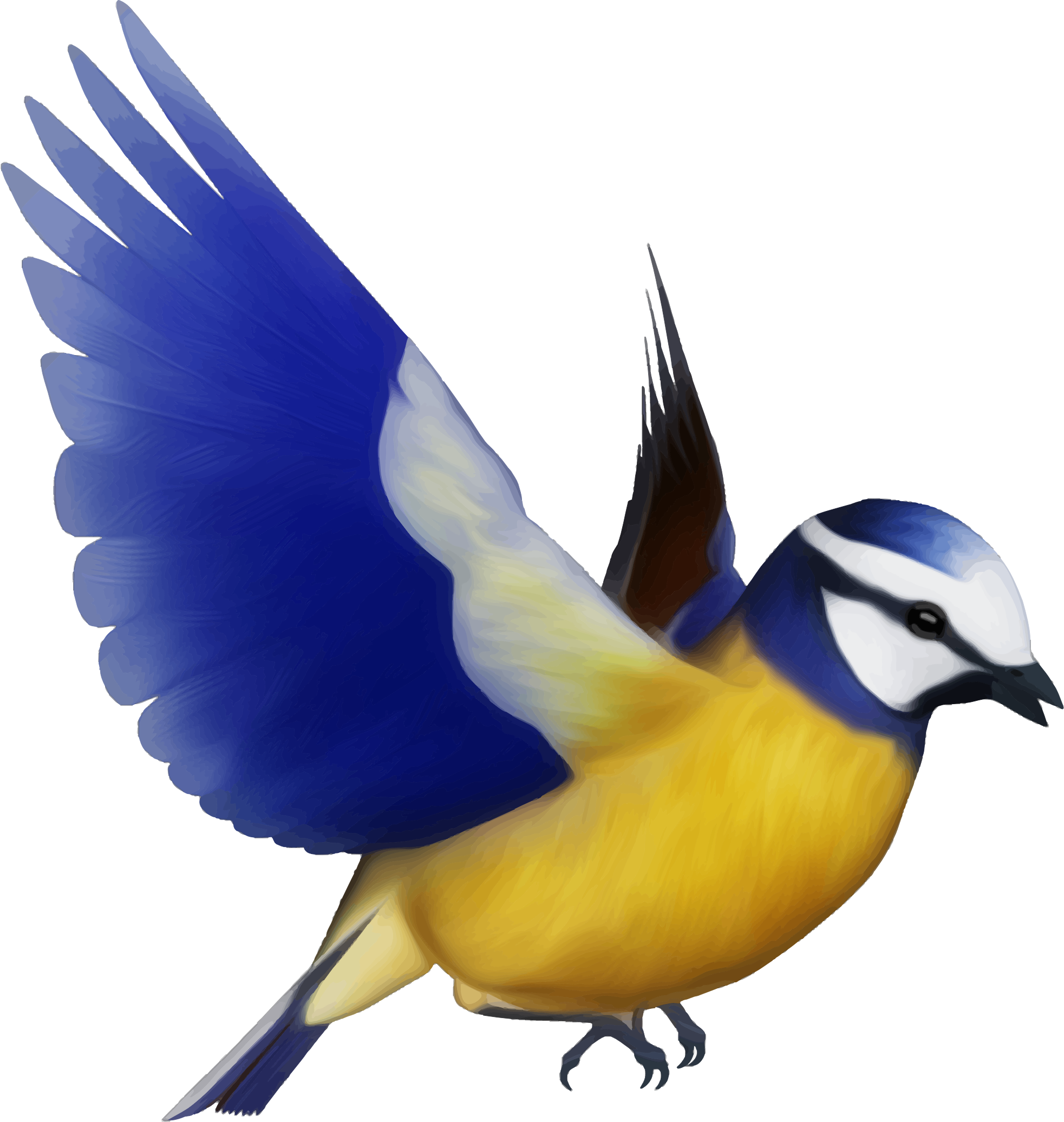 flying bird clipart png