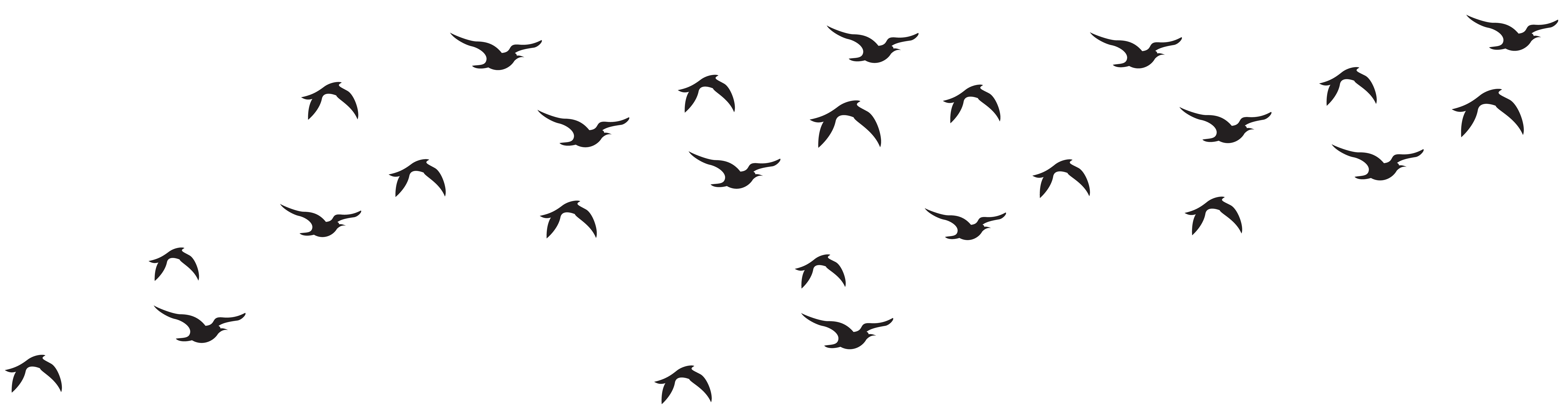 PNG Bird Images, Flying Birds Pictures Clipart - Free Transparent PNG Logos