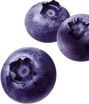 blueberries, america favorite fruit snacks welch fruit snacks #28880