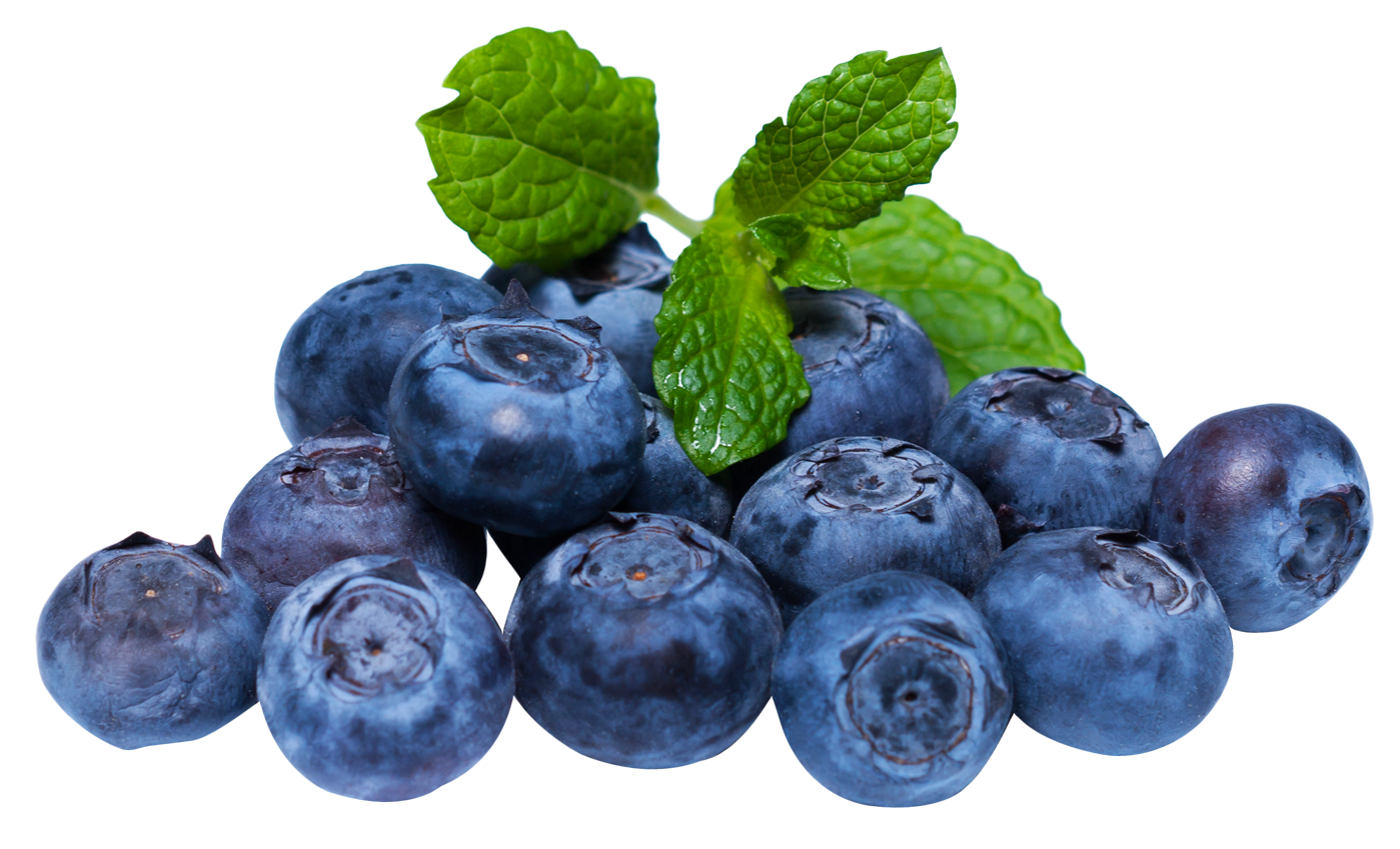 blueberries, blueberry with leaf png image purepng transparent png image library #28864