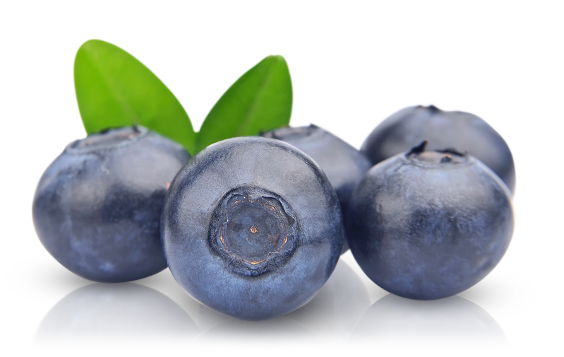 blueberries, home ackio #28834