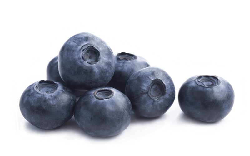 blueberries, jeunesse reserve jeunesse local #28843