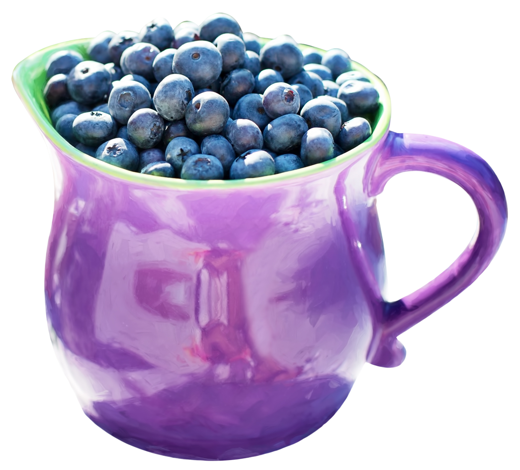 blueberries jug png image pngpix #28888