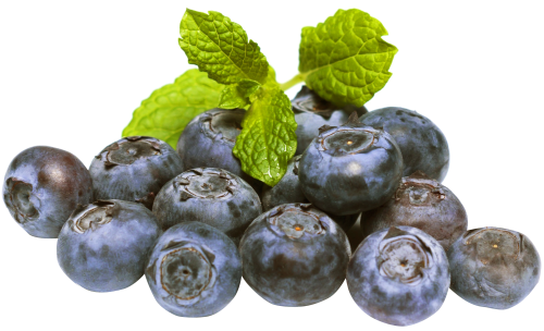 Blueberries