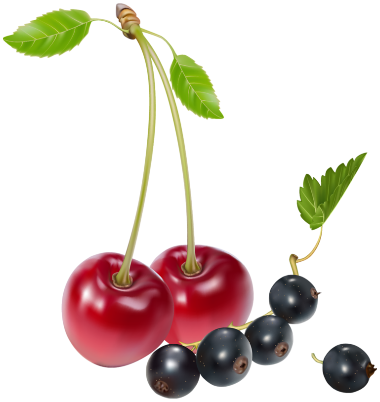 cherries and blueberries png clipart best web clipart #28866