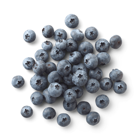 Blueberries PNG Images, Free Download Blueberry Clipart, Bilberry Fruit