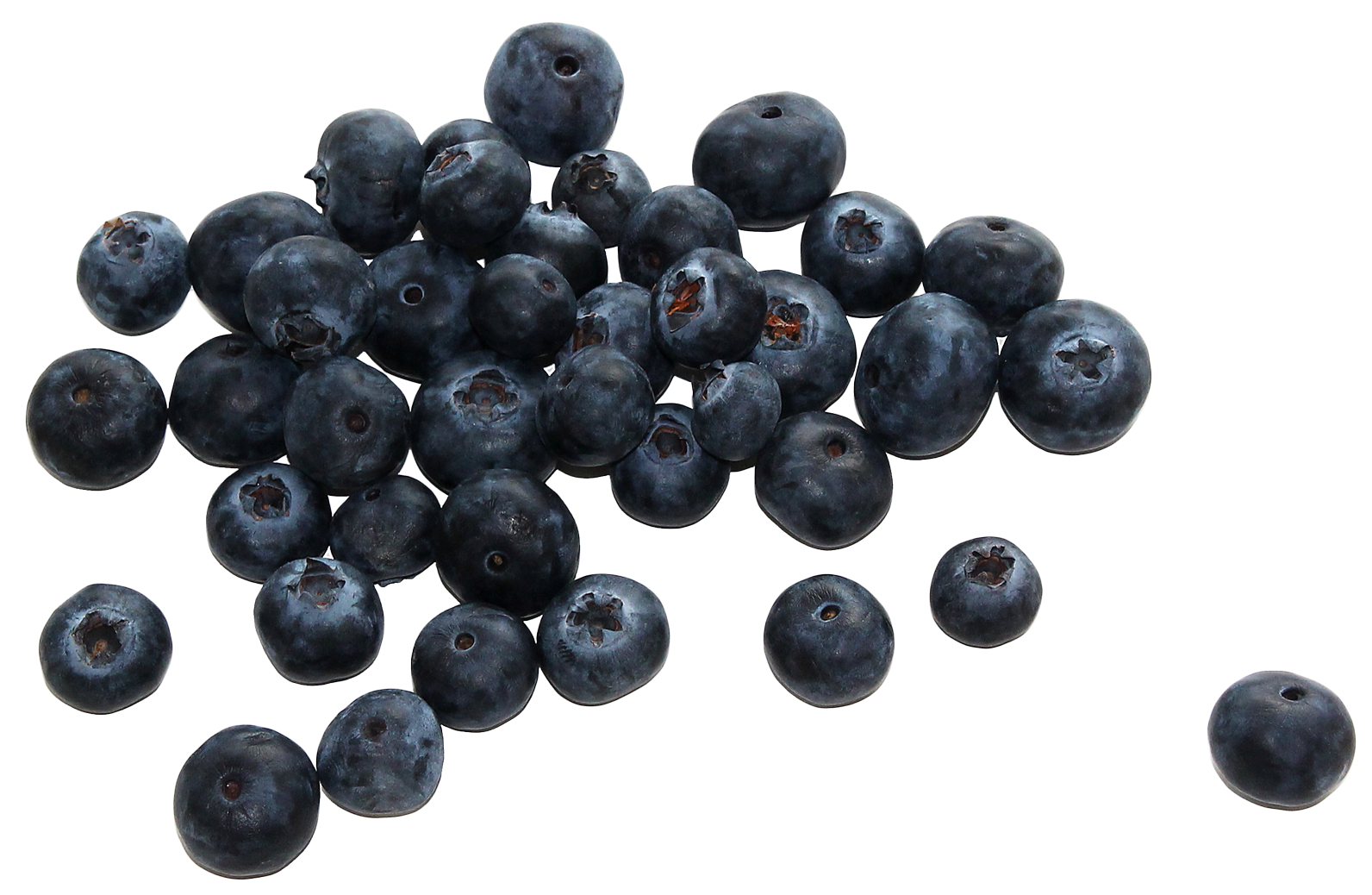 group fresh blueberries png image pngpix #28841