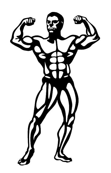 Bodybuilder PNG Pictures, Free Download - Free Transparent PNG Logos
