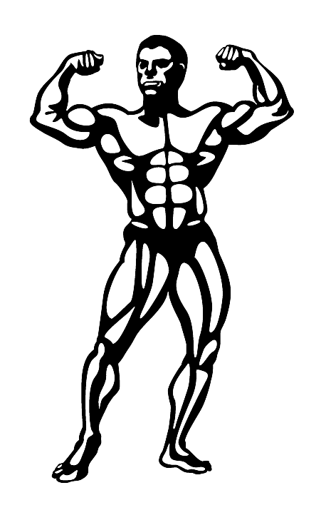 bodybuilder muscle black outline png #29130