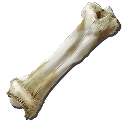 dinosaur bone official ark survival evolved wiki #29503