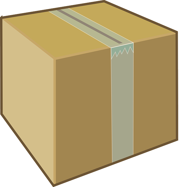 cardboard box brown vector graphic pixabay #19746