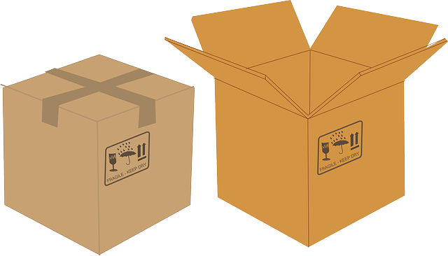 cardboard box vector graphic pixabay #19756