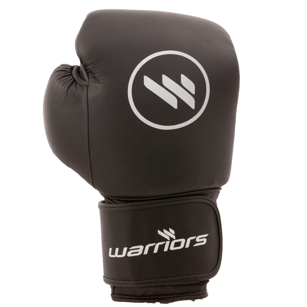 warriors boxing gloves sport image #29330