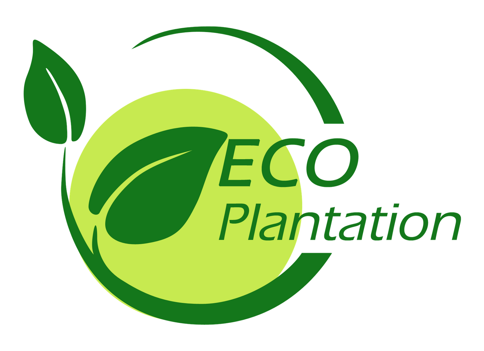 agarwood: eco plantation #5424