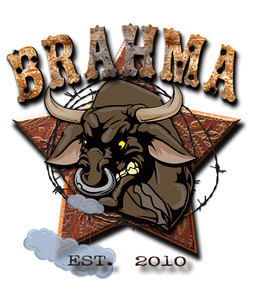 titan brahma logo #7270