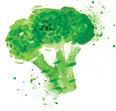 Broccoli PNG Images, Free Download Broccoli Clipart