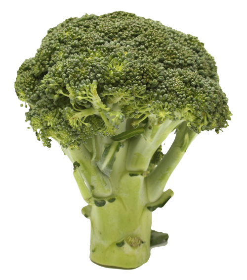 Broccoli