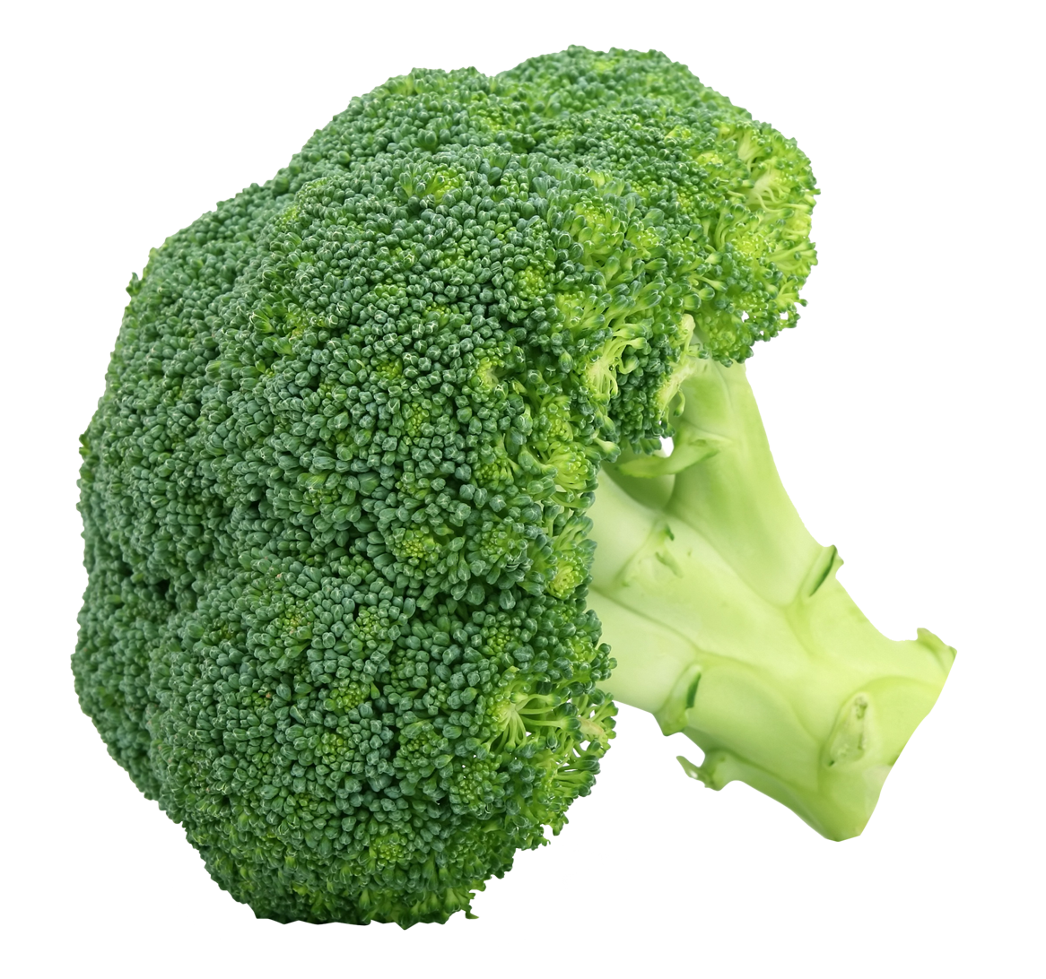 broccoli png image purepng transparent png image library #28673