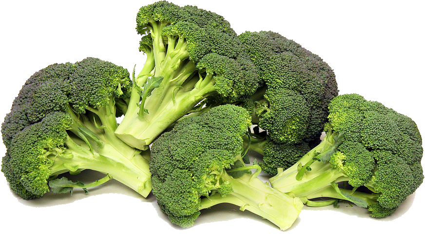 Broccoli