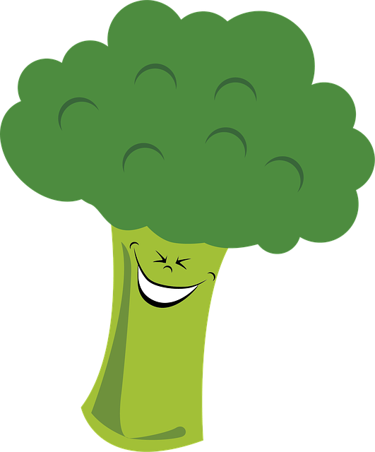 broccoli vegetables vegetable image pixabay #28693