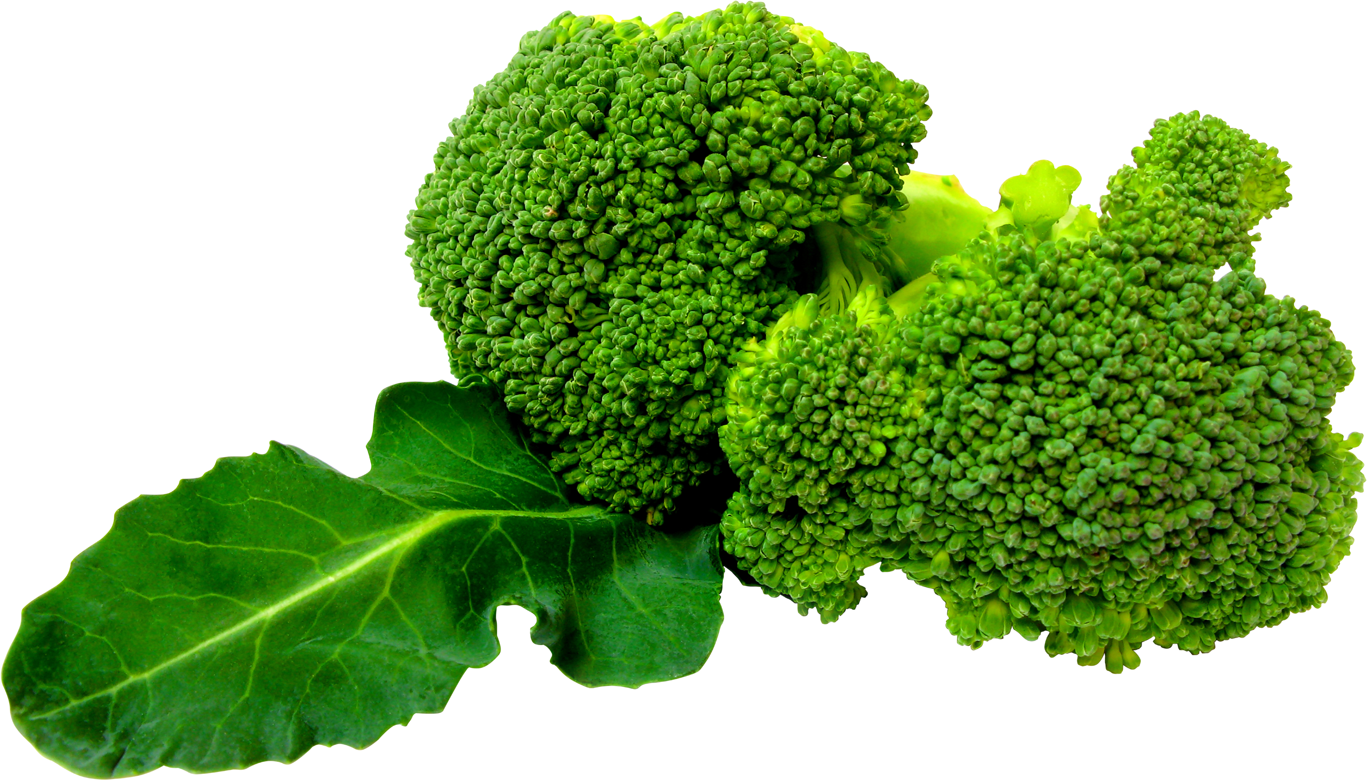 Broccoli