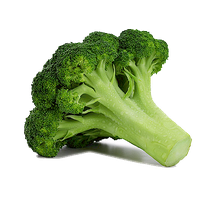 download broccoli png photo images and clipart pngimg #28740