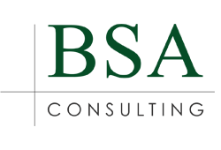 bsa consulting png logo #3997