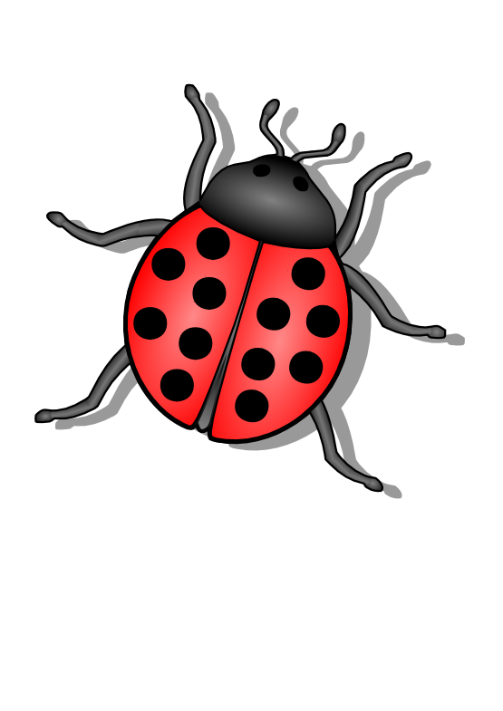 bug png transparent images #36487