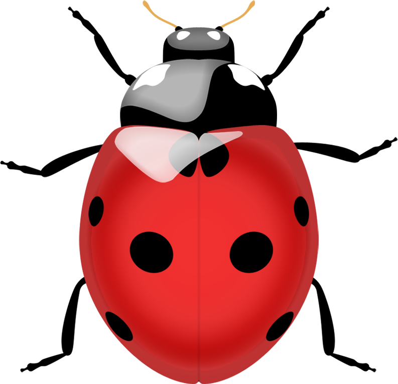 lady bug clip art cliparts #36504