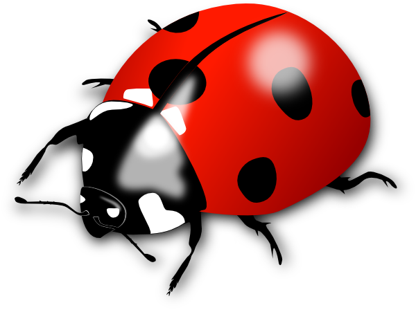 red lady bug clip art clkerm vector clip art