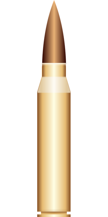 bullet shell cartridge slug #8499