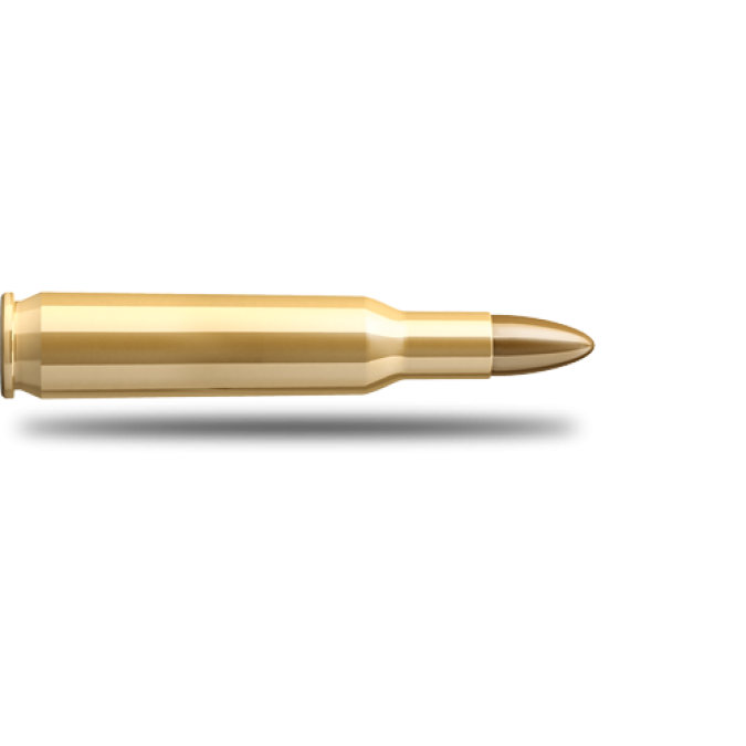 new bullet png #8479