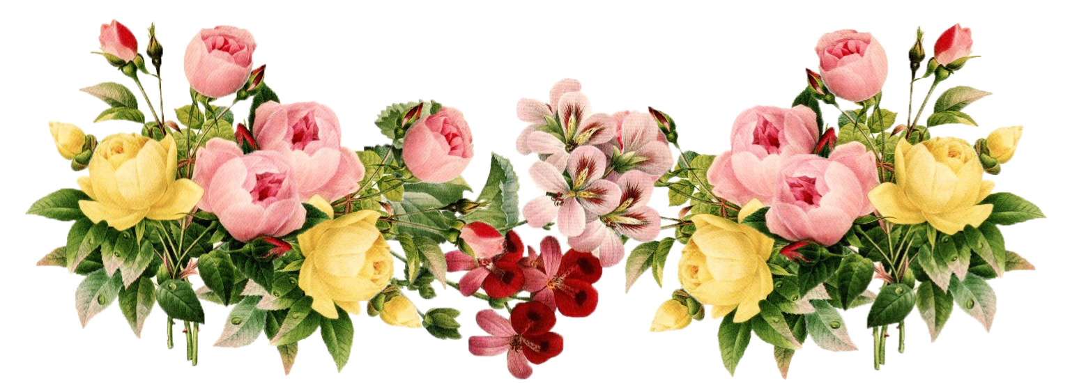 kumpulan gambar bunga png bunga syafaat #38065