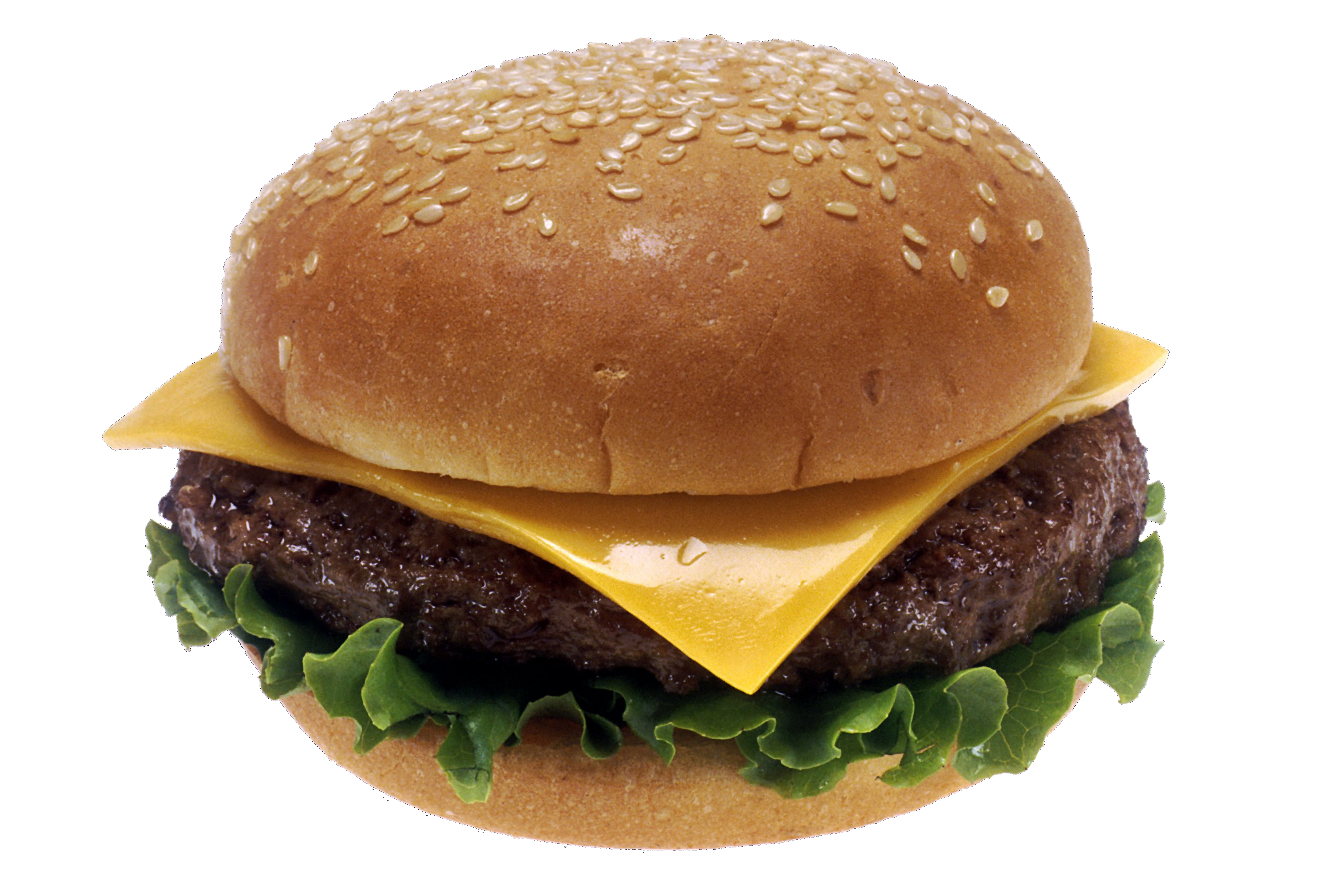 burger png web site under maintenance #10970