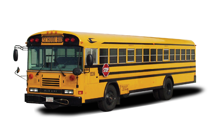 bus, school buses #13884