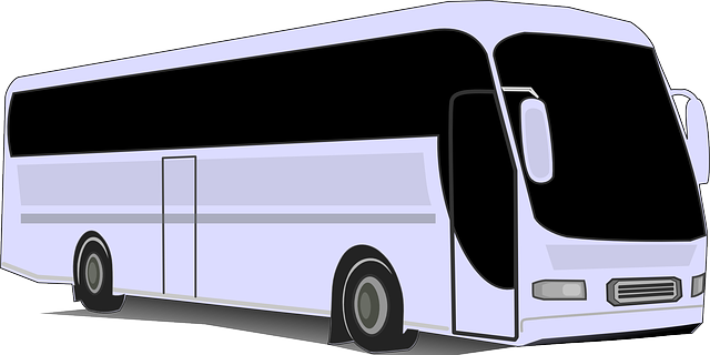 vector graphic bus vehicle transportation #13932