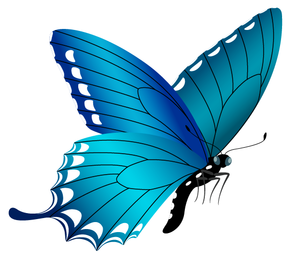 blue butterfly png image gallery yopriceville high #10115