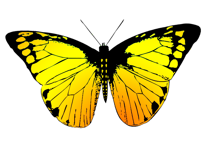 butterfly clipart #10154