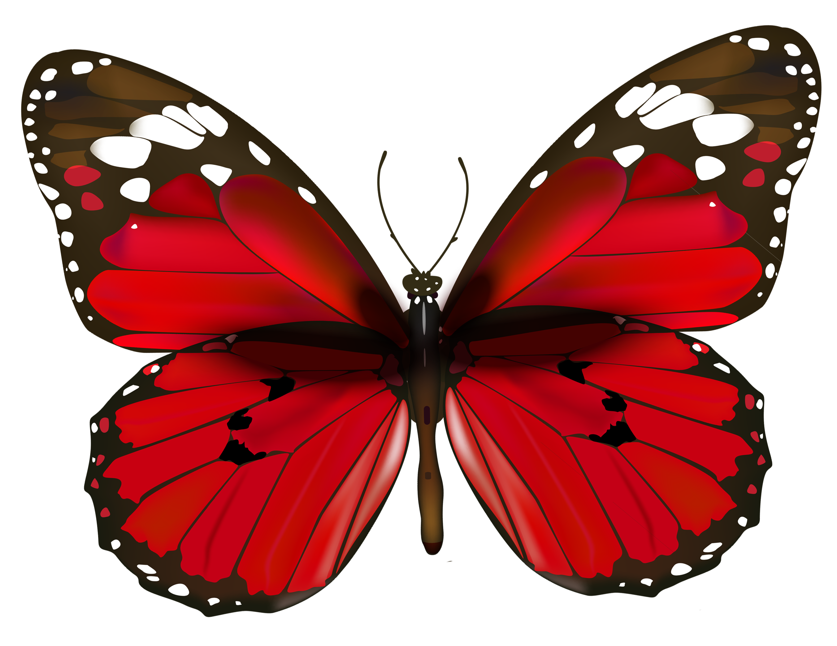 Butterfly PNG | Free Butterflies PNG Clipart Images - Free Transparent