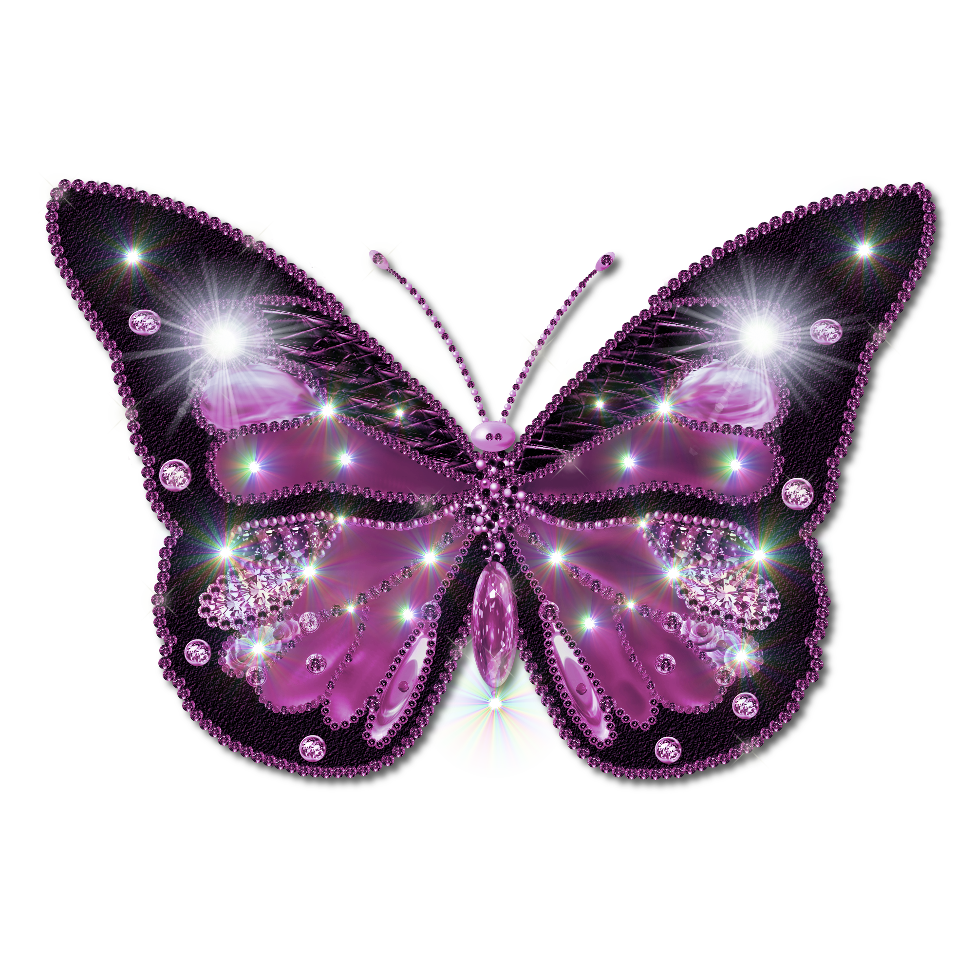 butterfly png transparent butterfly images #10041