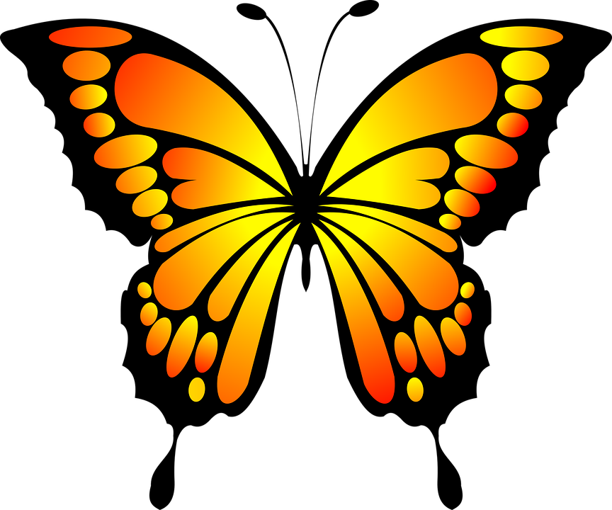 butterfly red vector graphic pixabay #10055