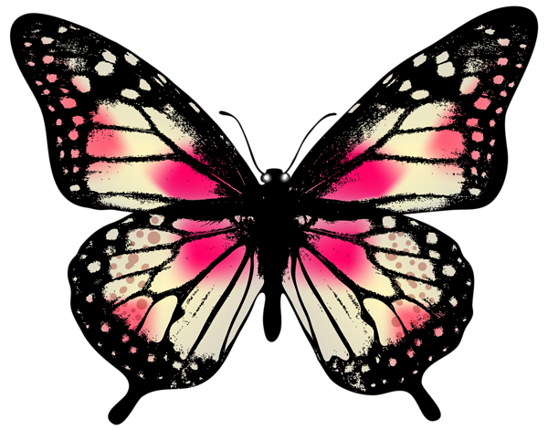 large pink butterfly png clip art image gallery #10150