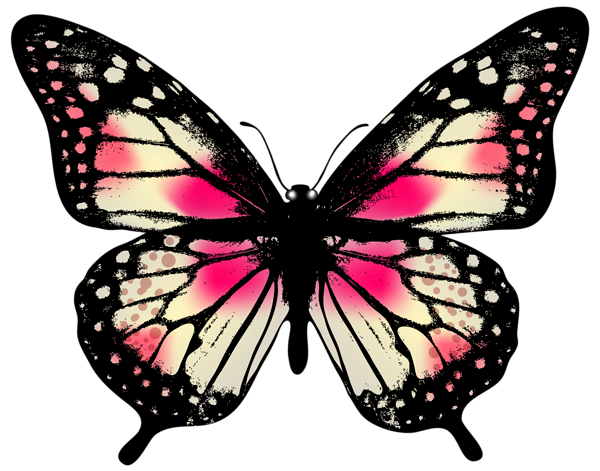 Butterfly PNG | Free Butterflies PNG Clipart Images - Free Transparent PNG  Logos