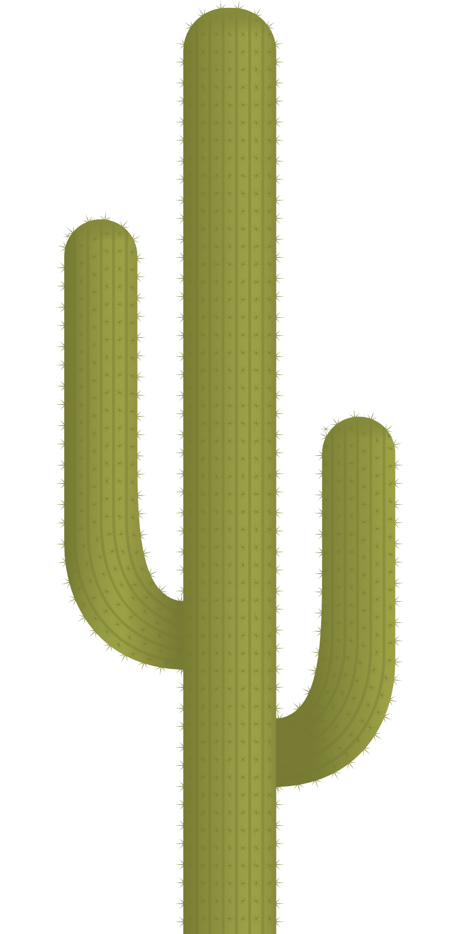 cactus plant vector png image pngpix #22099