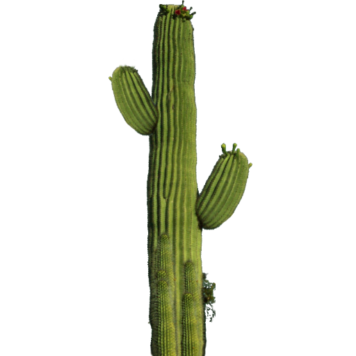 cactus sprite texture qubodup jacobimmugatu ccbysa gpl #22080