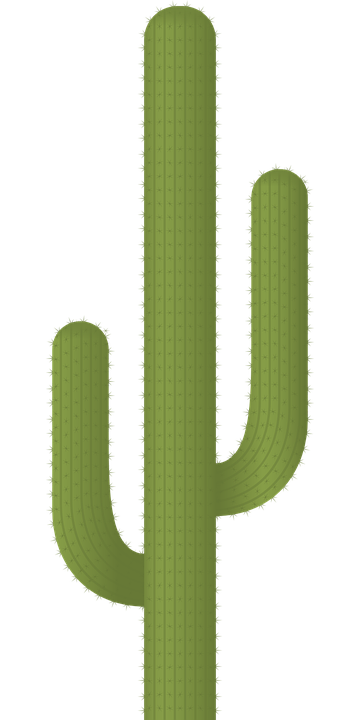 vector graphic cactus plants desert thorn #22140