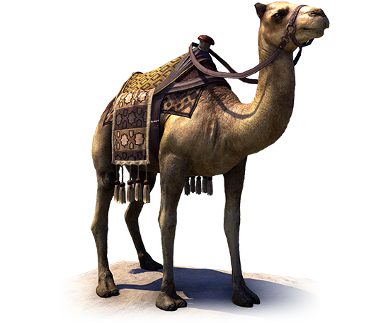 Camel