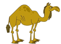 camel total drama wiki #21412