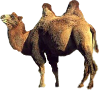 camel, tux paint stamp browser animals #21413