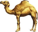 camel, tux paint stamp browser animals #21414